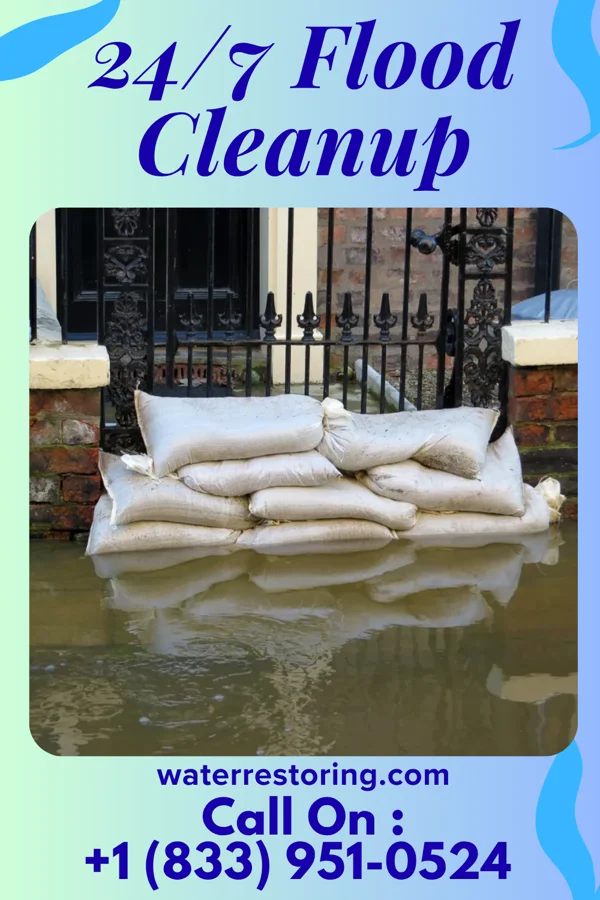 24/7 Flood Cleanup in Leon, WV