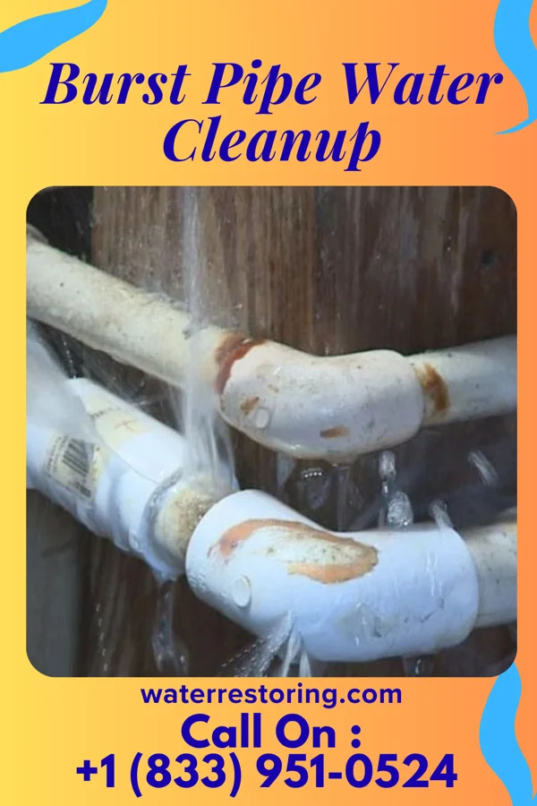 Burst Pipe Water Cleanup in Leon, WV