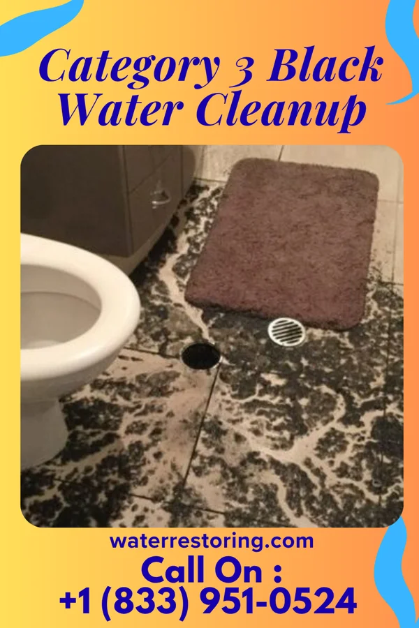 Category 3 Black Water Cleanup in Leon, WV