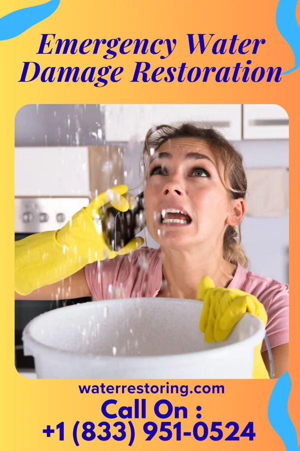 Emergency Water Damage Restoration in Leon, WV