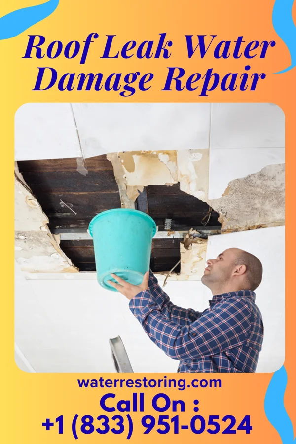Roof Leak Water Damage Repair in Leon, WV