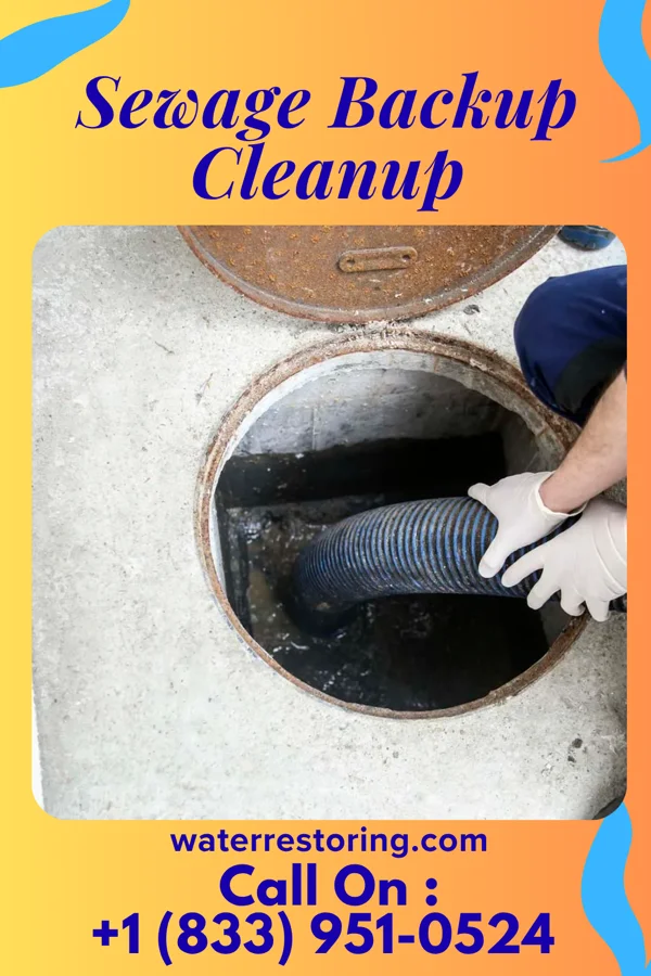 Sewage Backup Cleanup in Leon, WV